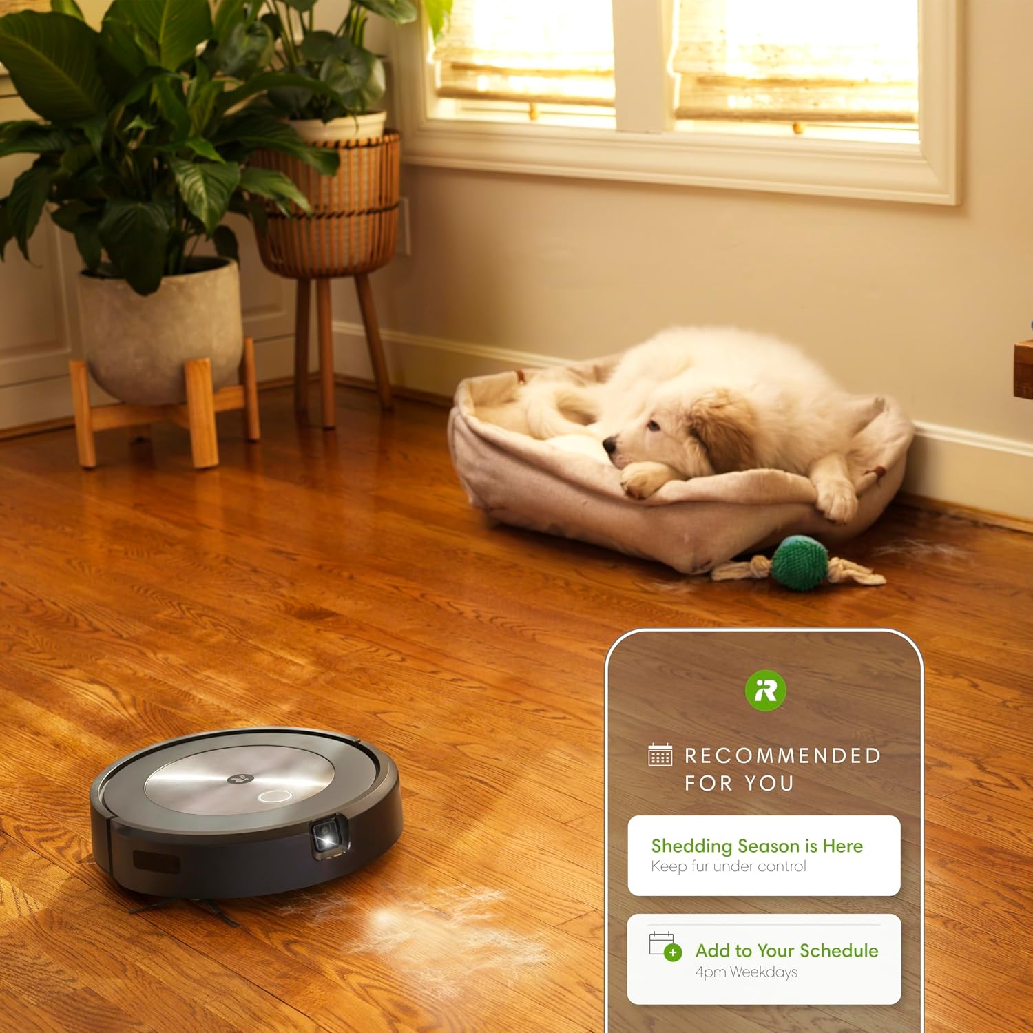 iRobot Roomba j7+ (7550) Self-Emptying Robot Vacuum - Image 5